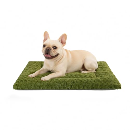 Washable Dog Bed Mat Medium Size Fluffy Pet Crate Pad 30x19 (Green / 30.00" x 19.00" x 1.50")