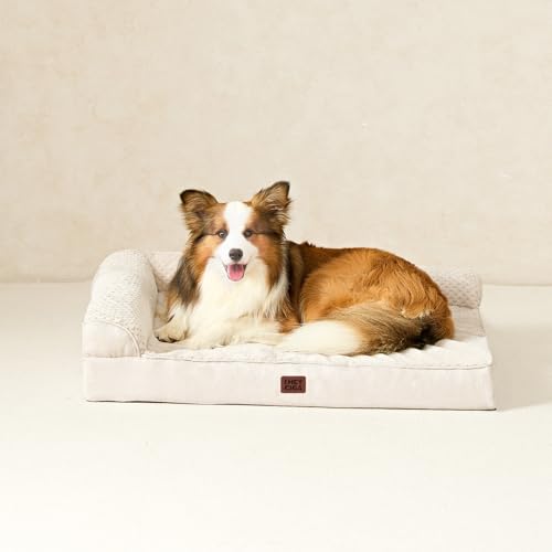 Memory Foam Dog Bed Large Size Dogs (Beige / 36.0"L x 27.0"W x 6"Th)