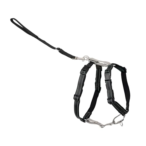 3 in 1 No Pull Dog Harness (Black / Large (Pack of 1))