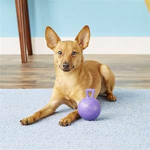 Tug-n-Toss Heavy Duty Dog Toy Ball with Handle, 4.5 Inches/Small, Purple (Purple / Small (4.5 in))