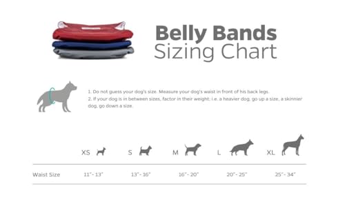 Washable Belly Bands for Male Dogs (X-Large (25-34") / Kingsmen)