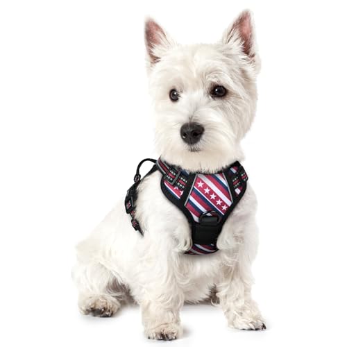 Dog Harness No Pull for Small Dogs with 2 Leash Clips (X-Small / Red Stripe)