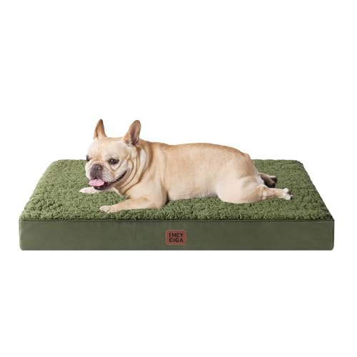 Orthopedic Dog Bed Medium with Removable Washable Cover (30*20*3.5 inches / Olive Green)