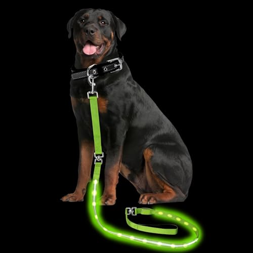 Light up Dog Leash for Night Walking (6 FT / Green)