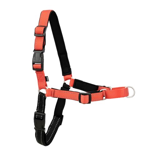 Deluxe Easy Walk Harness (Large / Rose Red)
