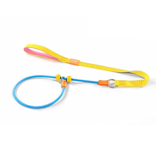 Slip Lead Dog Leash with 2 Spring (MultiColor / 3.6FT)