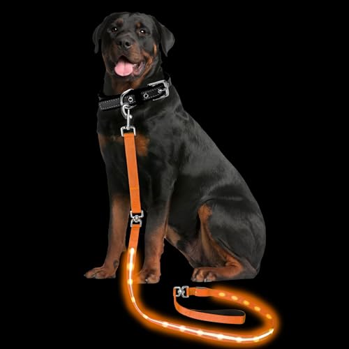 Light up Dog Leash for Night Walking (6 FT / Orange)