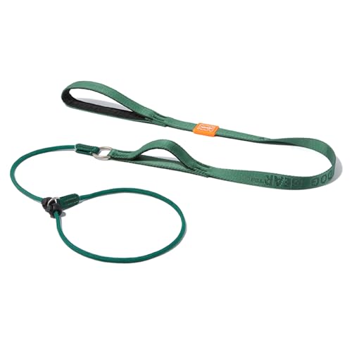 Slip Lead Dog Leash with 2 Spring (Green / 5.0FT)