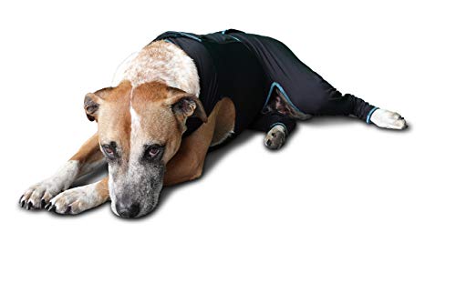 Therapeutic Comfort Suit for Dogs (Large)