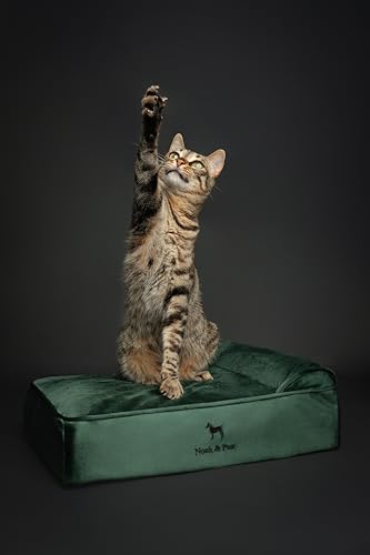 Small Dog Bed (Velvet - Dark Green / Small)