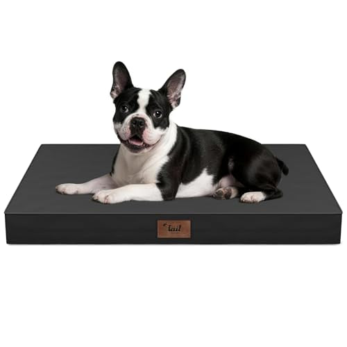 Orthopedic Waterproof Dog Bed for Small Dogs and Cats (Black / 29.0"L x 18.0"W x 3.0"Th)