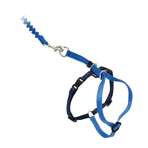 Come with Me Kitty Harness and Bungee Cat Leash (Large (Pack of 1) / Royal Blue)