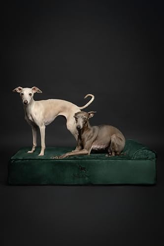 Large Dog Bed (Velvet - Dark Green / Large)