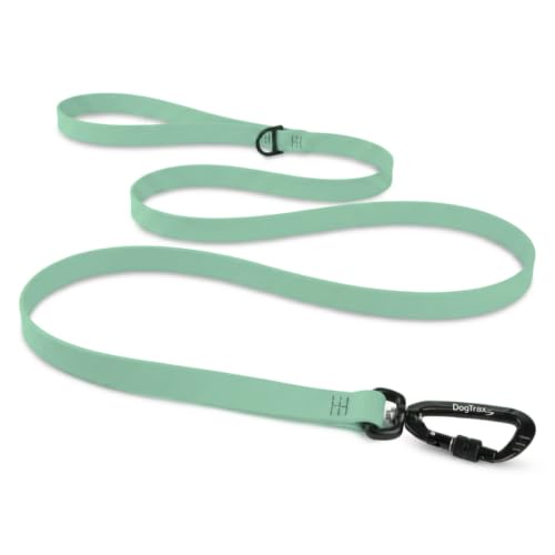 Essential Biothane Dog Leash (Sage Green / 3/4 In x 4 Feet)