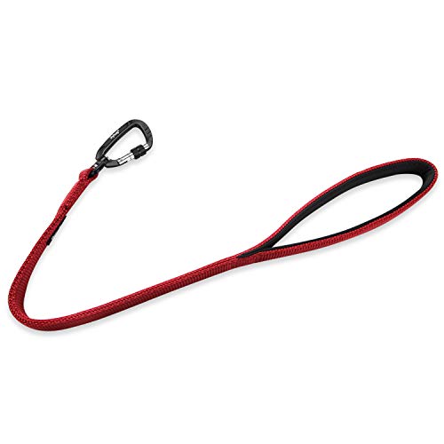 Short Dog Leash 24" (Red / 24 Inches)