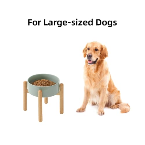 Ceramic Dog Bowls Elevated (Light Green)