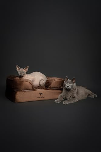 Small Dog Bed (Velvet - Brown / Small)