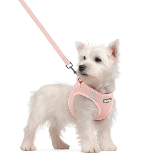 Dog Harness Small Sized and Leash Set (Pink / S (chest: 15.1 - 16.5"))