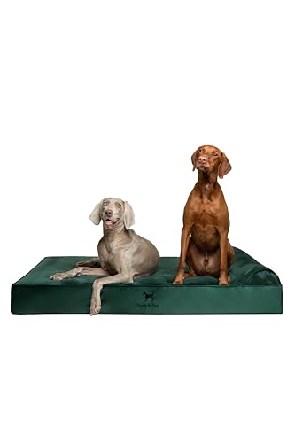 Giant Dog Bed XXL 55x45x9.5 Inch (Velvet - Dark Green / XX-Large)