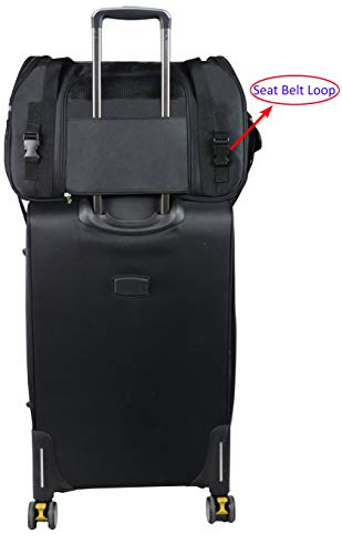 Soft Sided Pet Carrier for Cats & Small Dogs (19.0"L x 10.0"W x 13.0"H / Black)