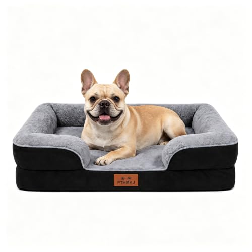 Orthopedic Dog Bed Medium Size Dog (Black / 30.0" L x 20.0" W x 6.3" Th)