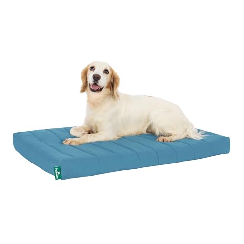 Orthopedic Dog Bed (Large / Lagoon)