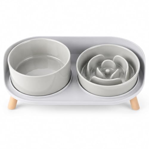 Elevated Slow Feeder Dog Bowls with Splash Proof Stand (Medium / Grey)