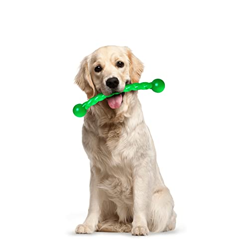 Dog Chew Toys 11'' Long for Small (11'' single)