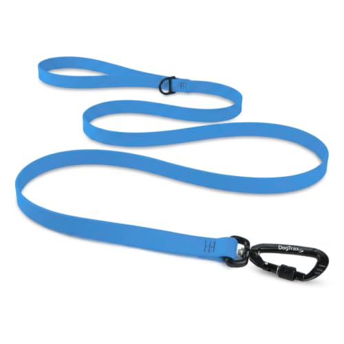 Essential Biothane Dog Leash (Cerulean Blue / 3/4 In x 4 Feet)