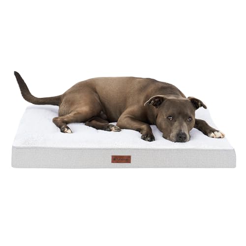 Orthopedic Dog Bed (Large / Light Gray)