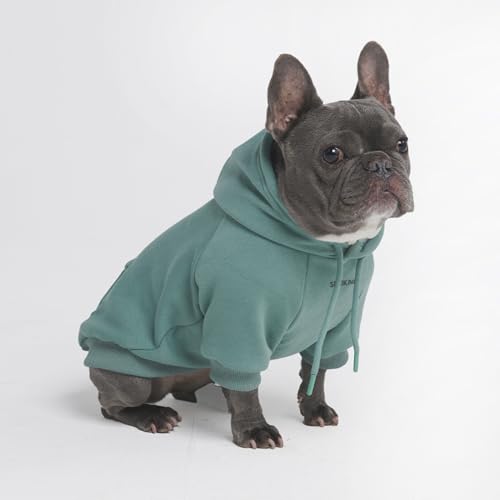 Dog Hoodie Buttery (Teal / X-Large)