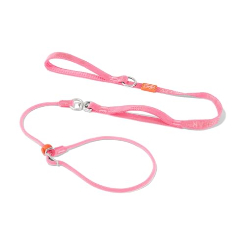 Slip Lead Dog Leash (Pink / 5.5FT)
