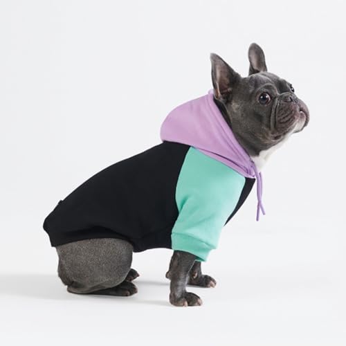 Dog Hoodie Buttery (Cyber Punk / XX-Large)