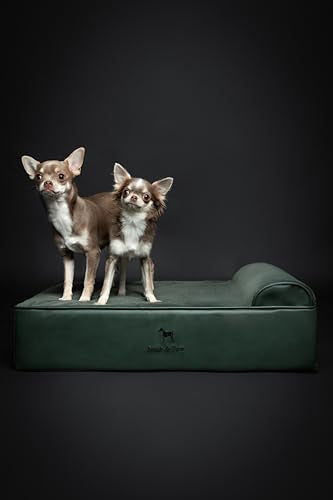 Dog Bed 28x23x7.5 Inch (Vegan Leather - Green / Medium)