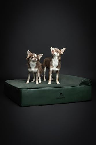 Dog Bed 28x23x7.5 Inch (Vegan Leather - Green / Medium)