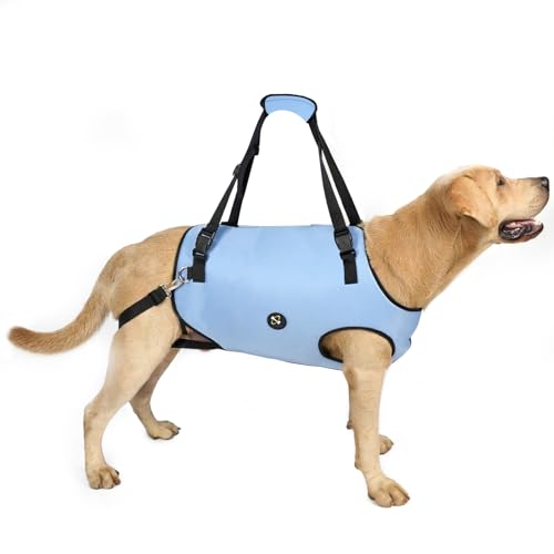 Dog Lift Harness (Large / Blue)
