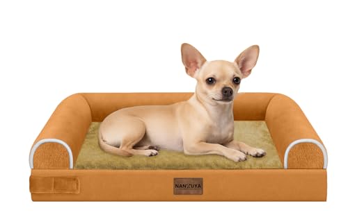 Orthopedic Dog Bed for Small Dogs (Orange / 24.0"L x 16.0"W x 5.5"Th)