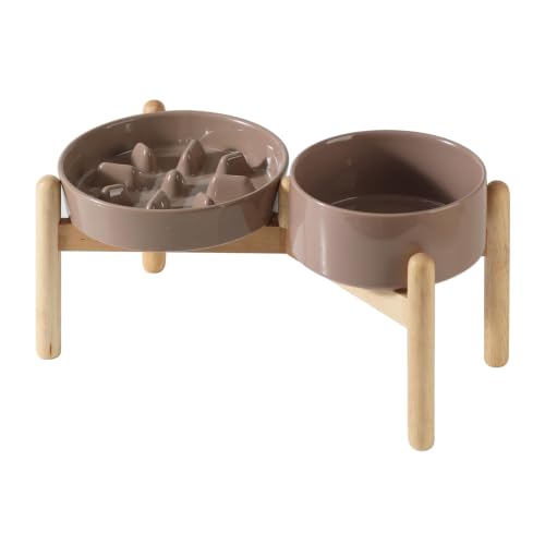 Elevated Slow Feeder Dog Bowls (Brown Coffee)