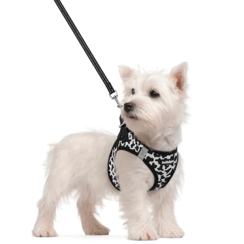Dog Harness Small Sized and Leash Set (Black White Cow / S (chest: 15.1 - 16.5"))
