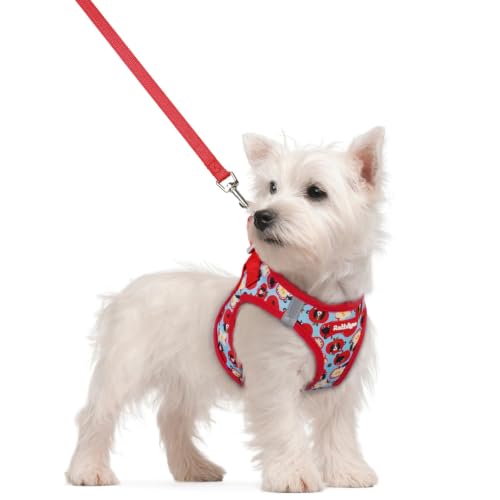 Dog Harness Small Sized and Leash Set (Apple Pups / S (chest: 15.1 - 16.5"))