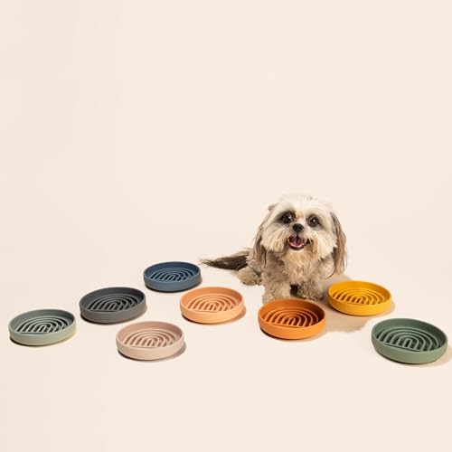 Slow Feeder Dog Bowl (Spruce / Small (6” Across x 1.25” Tall))