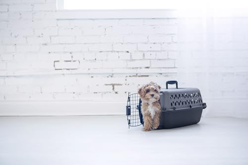 Pet Porter Dog Kennel 19in (19.0"L x 12.5"W x 10.0"H / gray)