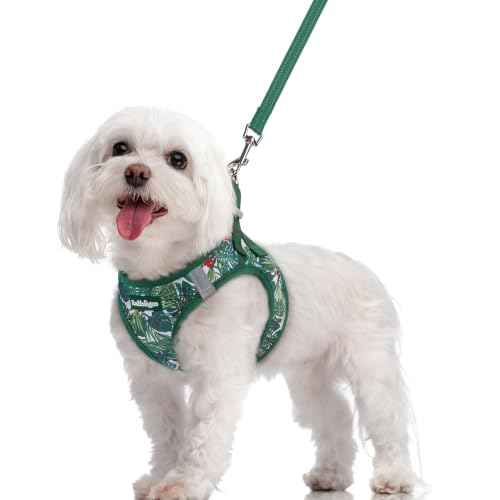 Dog Harness Medium Sized and Leash Set (Rainforest Green / M (chest: 16 - 18.5"))