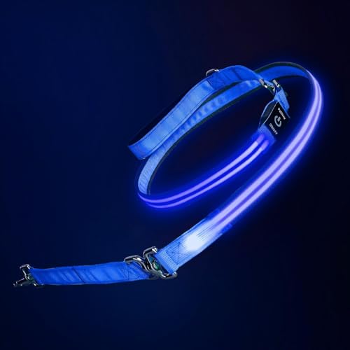 LED Dog Leash (Blue / 6 feet)