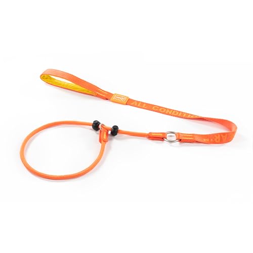 Slip Lead Dog Leash with 2 Spring (Orange / 3.6FT)