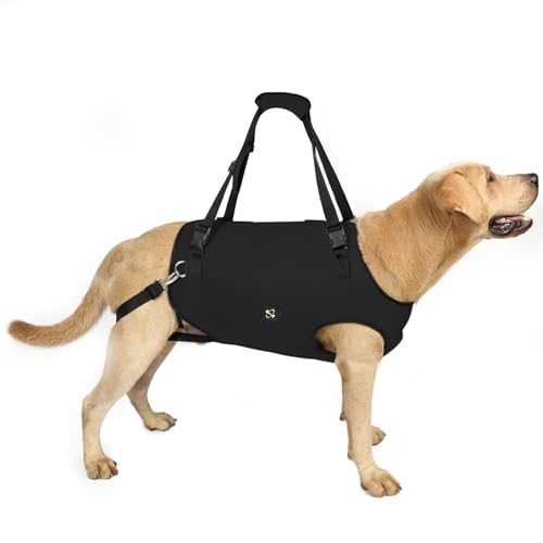 Dog Lift Harness (Small / Black)