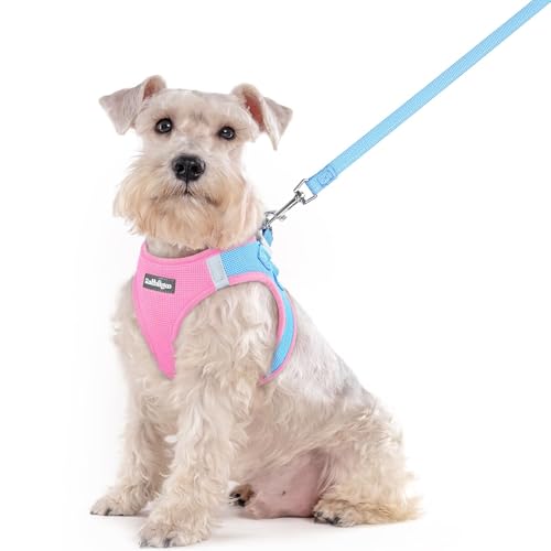 Dog Harness Medium Sized and Leash Set (Blue & Light Pink / Xxl (chest: 21.6 - 23.7"))