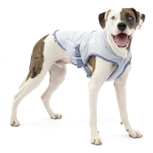 Core Cooling Vest (Medium (Pack of 1))