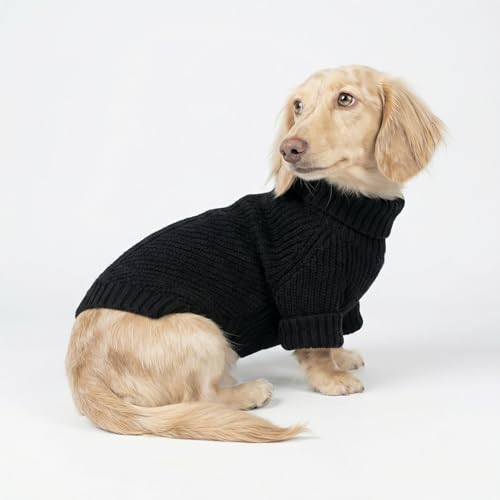 Dog Turtleneck Sweater (XX-Large / Black)