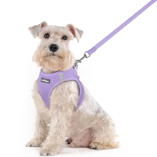 Dog Harness Medium Sized and Leash Set (Light Purple / Xxl (chest: 21.6 - 23.7"))